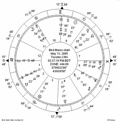 what is horary astrology